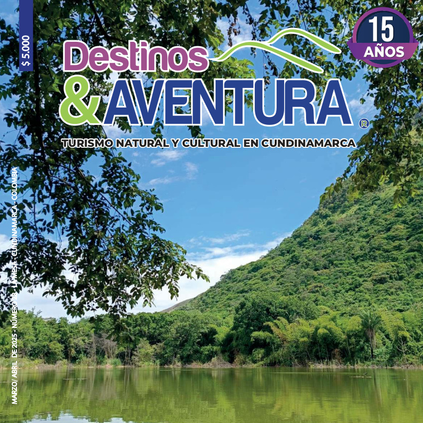 Edición 28