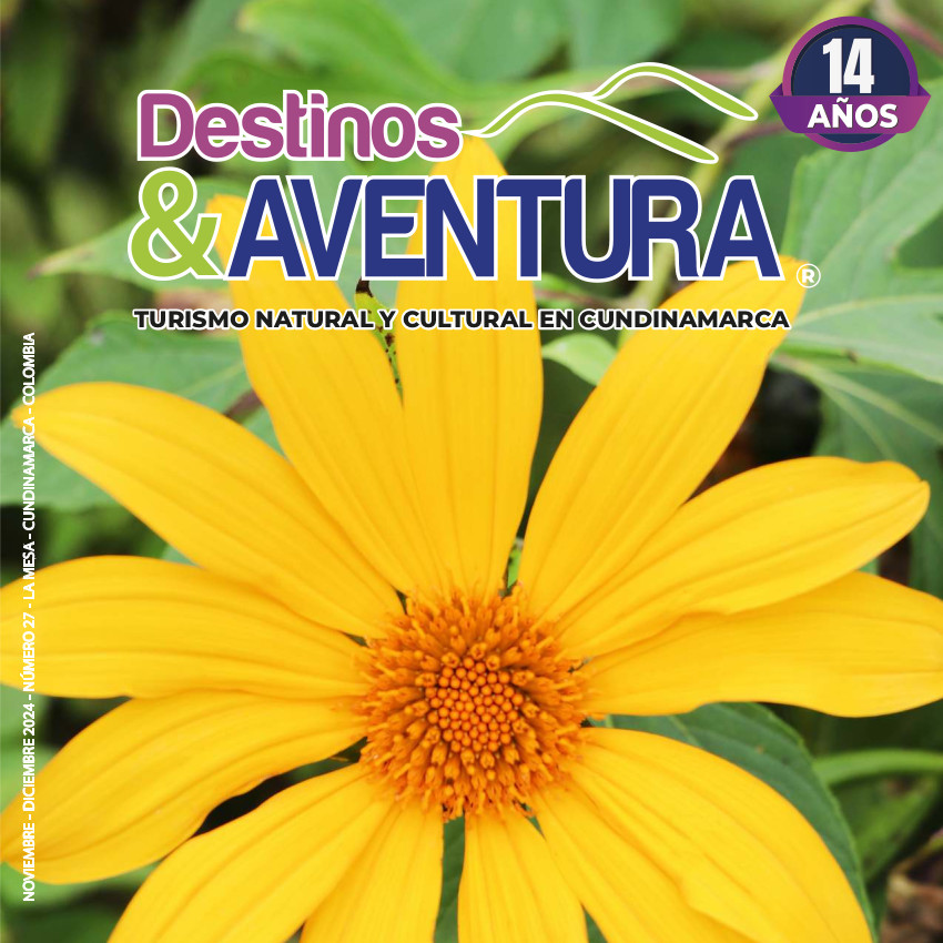 Edición 27