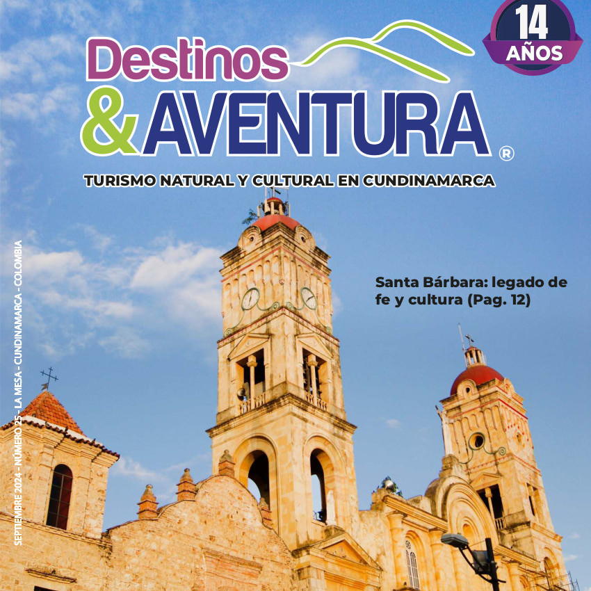 Edición 25