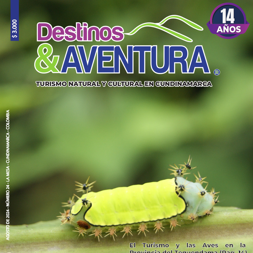 Edición 24