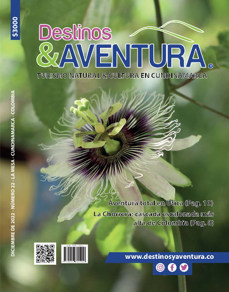 Edición 22